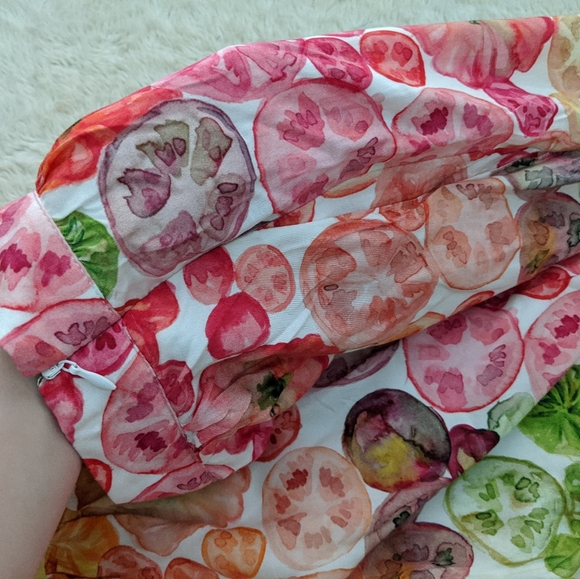 Modcloth SZ 1x fruity floral flowey skirt - Picture 8 of 10